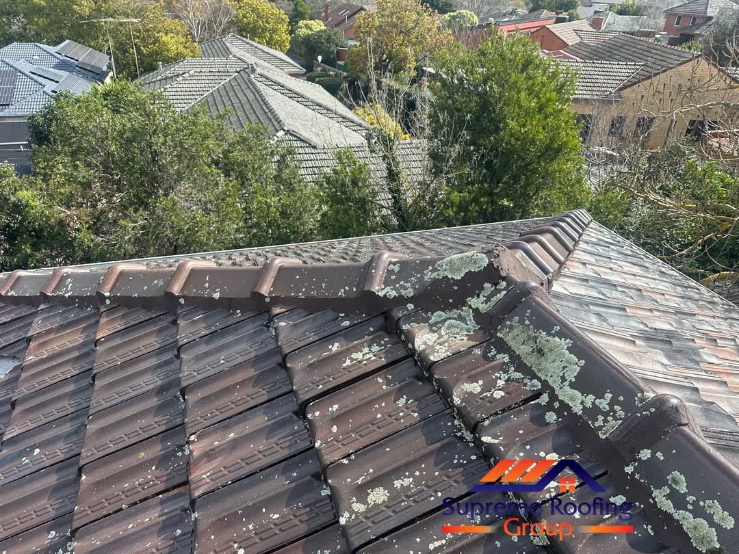 Canterbury Terracotta Roof Repair 🏠