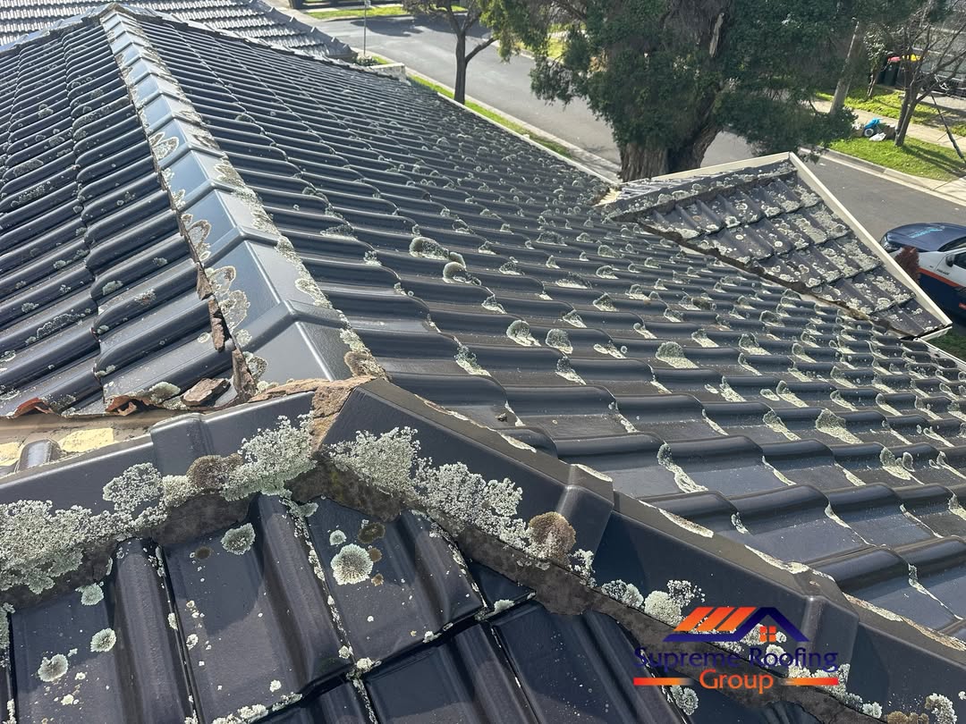Terracotta roof tiles Melbourne Roof Repair in Oakleigh South