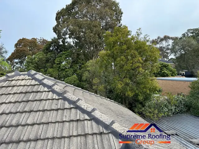 Freshly repointed hip capping on the Doncaster cement tile roof