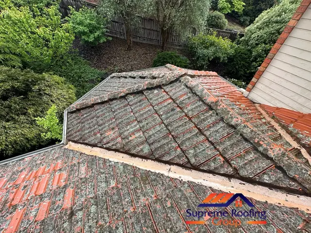 Lichen-covered terracotta roof before cleaning in Eltham