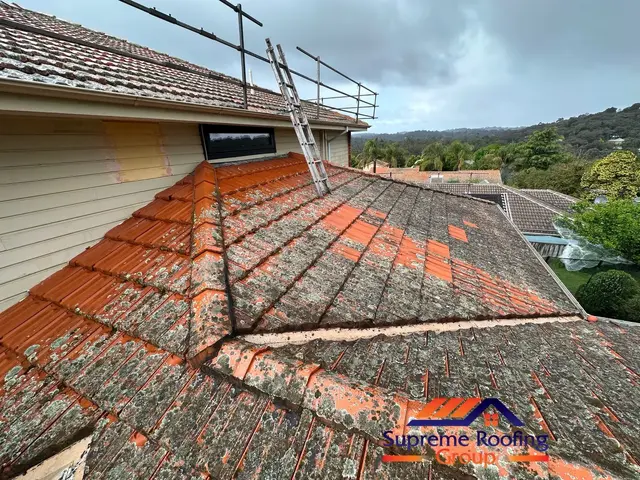 Heavy lichen obstructing terracotta tile watercourses on an Eltham roof