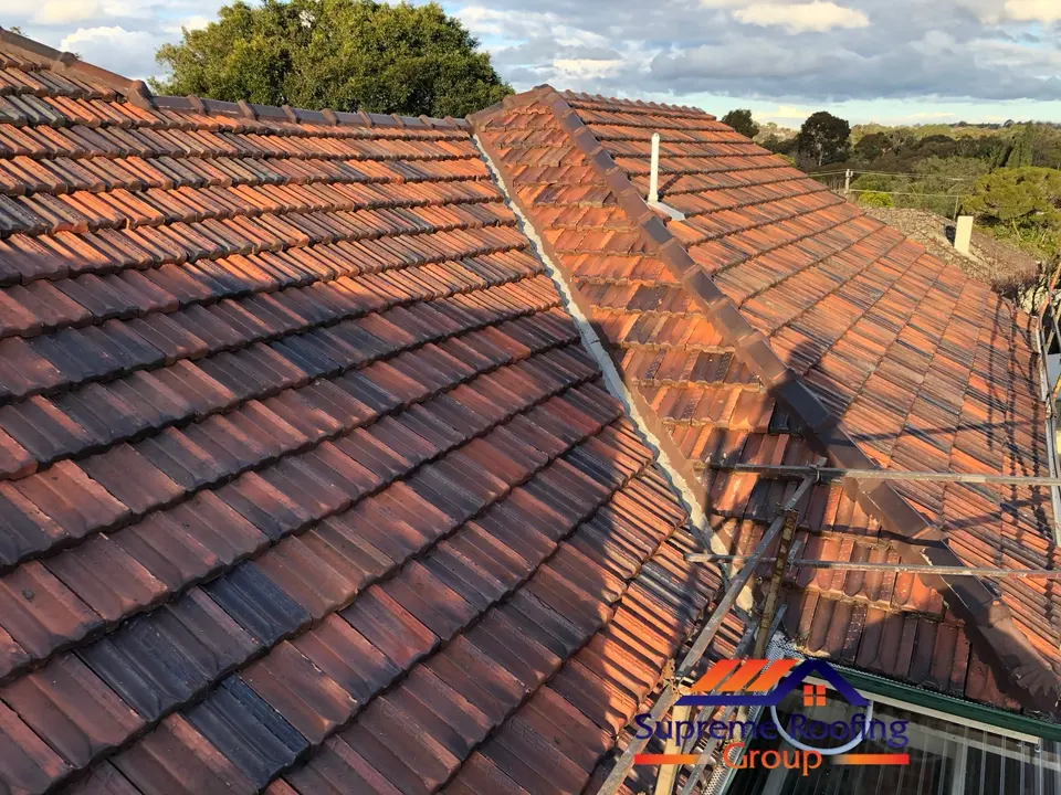 Completed terracotta roof restoration with clean tiles and repointed ridges in Kew