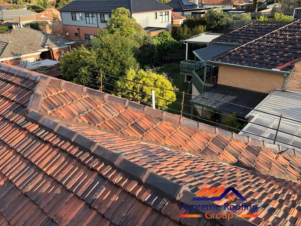 Cleaned terracotta tiles and completed ridge pointing on the Kew roof