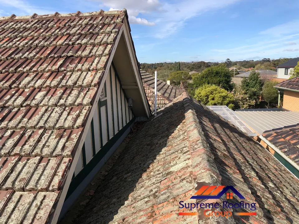 Moss and lichen across terracotta tiles and ridge capping before restoration in Kew