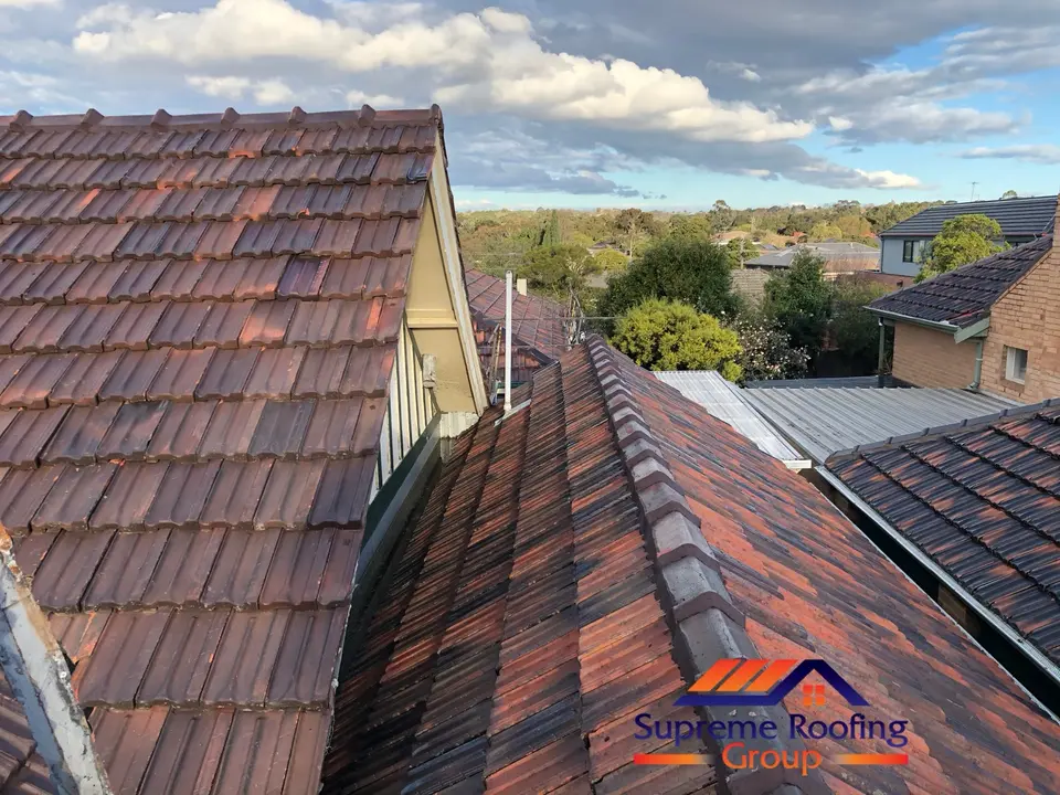 Terracotta tiles after roof and gutter pressure cleaning in Kew