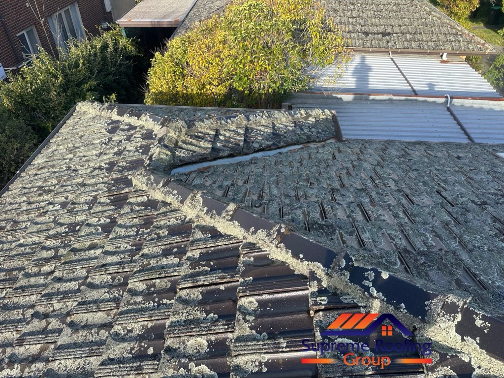 Surface growth across roof tiles around the hip and valley before cleaning
