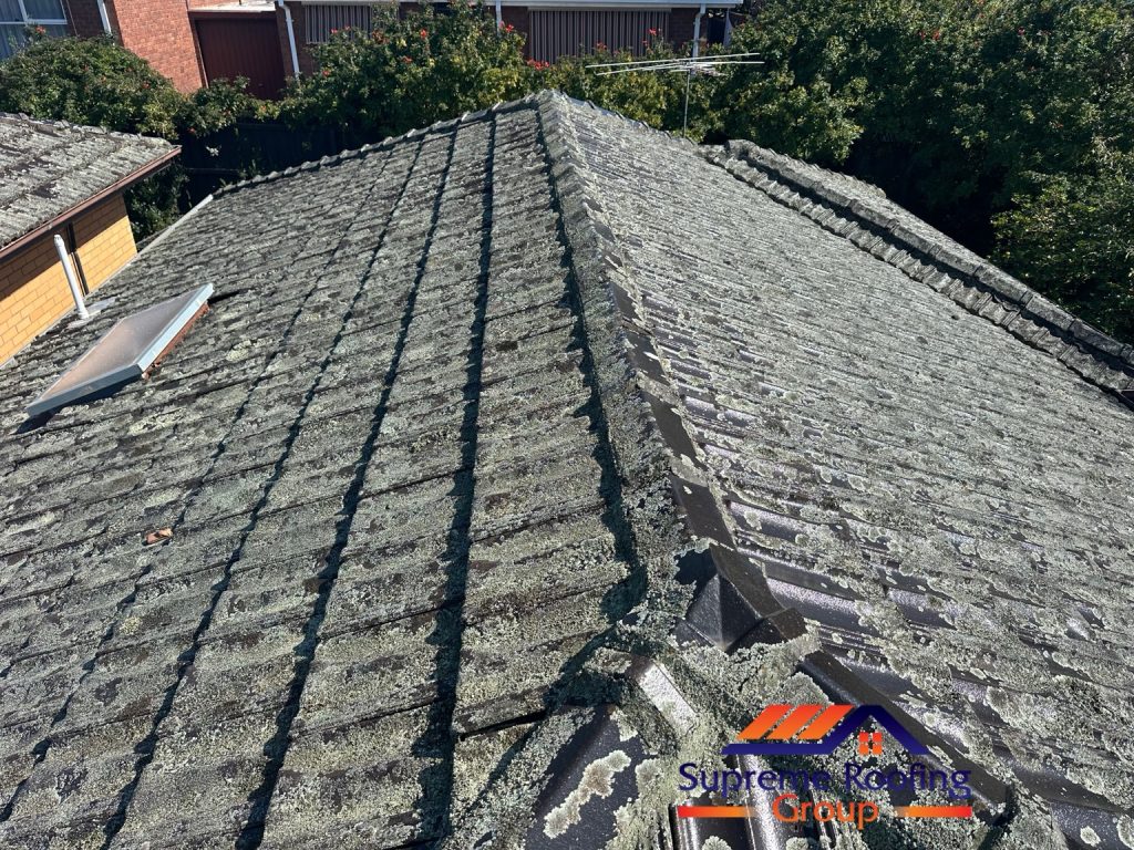 Camberwell tiled roof and skylight before cleaning and repairs