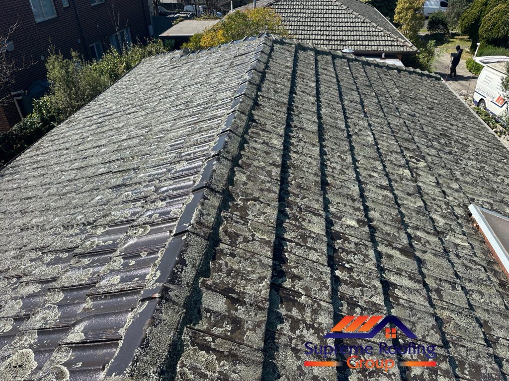 Lichen-covered roof tiles and ridge capping before the Camberwell restoration