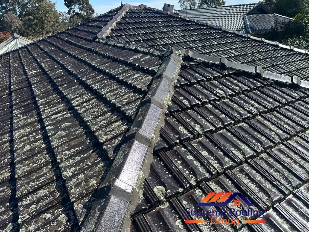 Existing ridge and hip capping with weathered pointing on the Donvale tiled roof