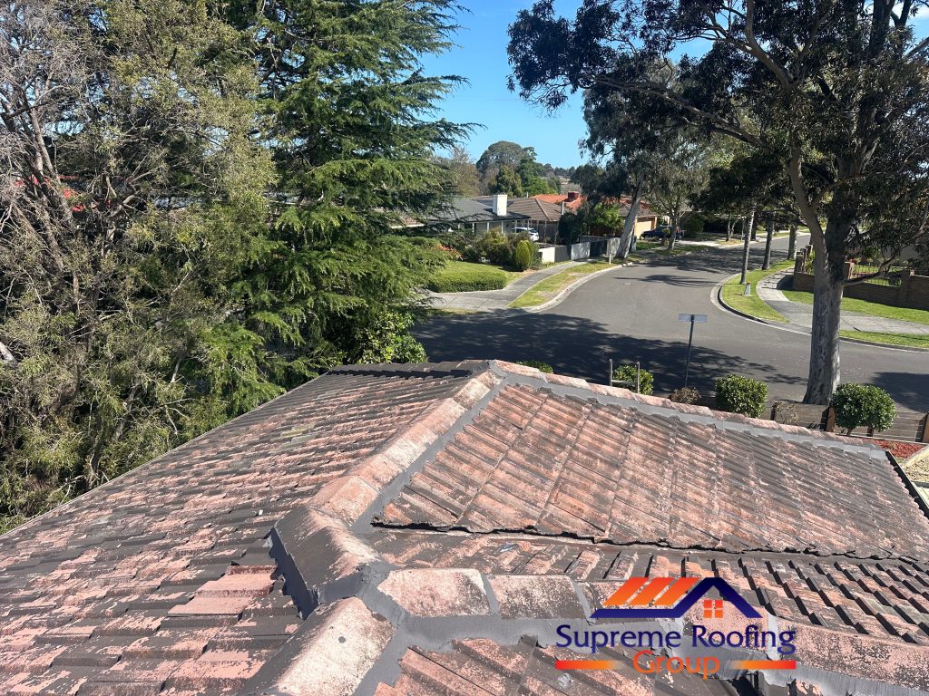 Repointed hip capping and roof junctions in Rowville before painting