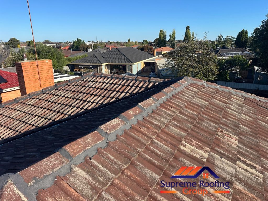 Repointed ridge and hip caps across the Thomastown tiled roof